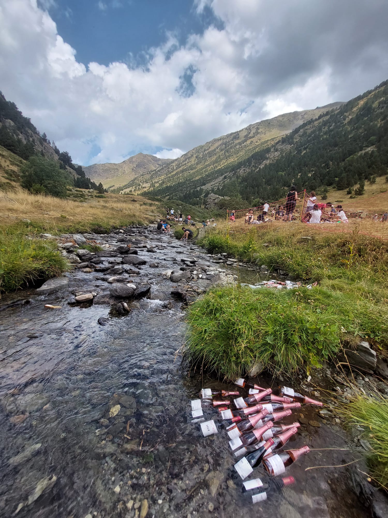 Botellas de vino en un rio en la montaña